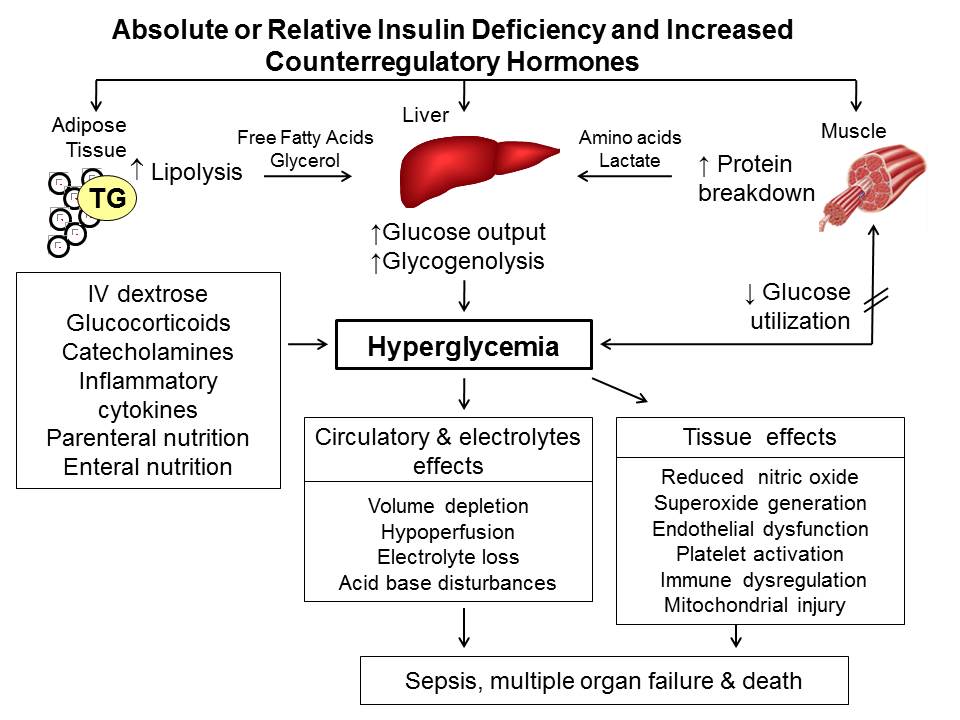 diabetes-19-figure-1-endotext