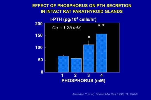 Pthbone Ch6 Fig10 Endotext