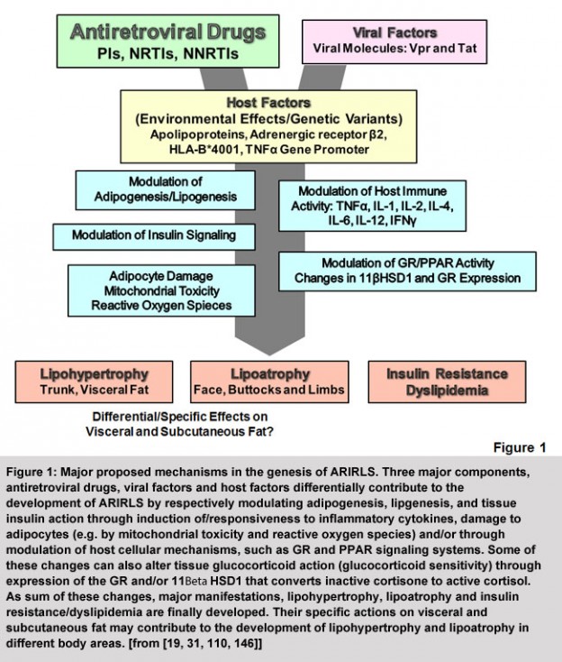 Figure1 - Endotext