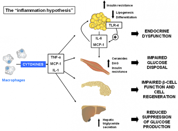 figure1 - Endotext